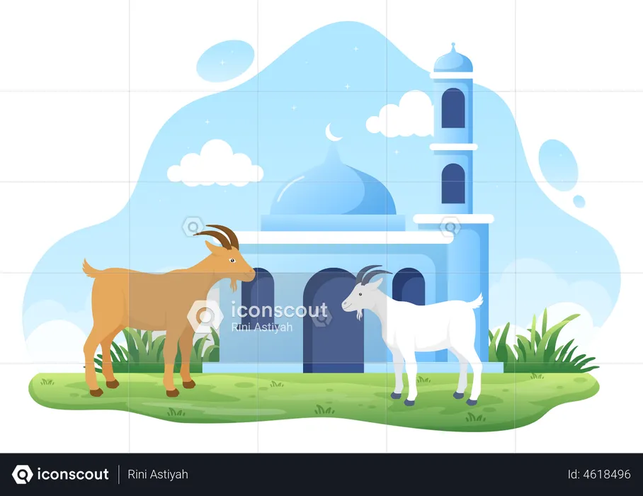 Eid al Adha sheep  Illustration