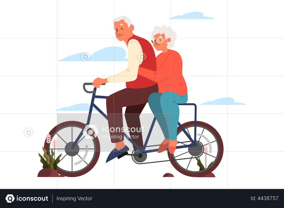Elderly couple riding bicycle  Illustration