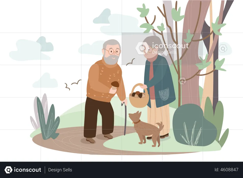 Elderly couple with dog collects mushroom  Illustration