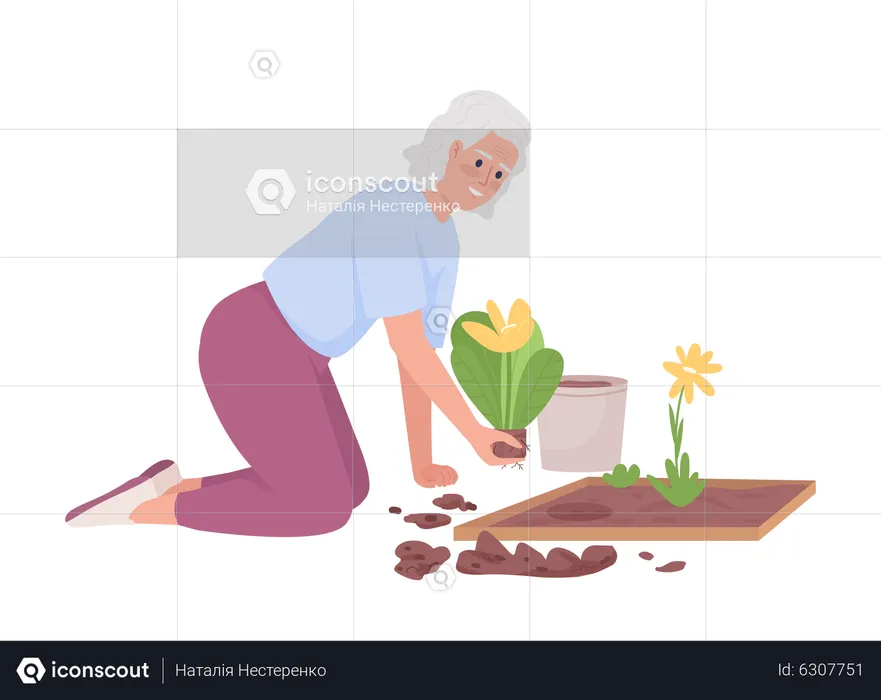 Elderly woman planting flower beds in garden  Illustration