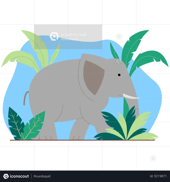 Elefante  Ilustração