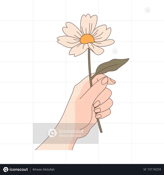 Elegant Girl Hand Holding Beautiful Flower Floral  Illustration