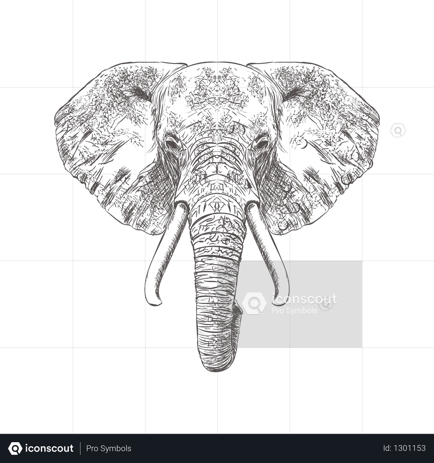 Elephant Head Drawing Stock Illustrations – 7,424 Elephant Head Drawing  Stock Illustrations, Vectors & Clipart - Dreamstime