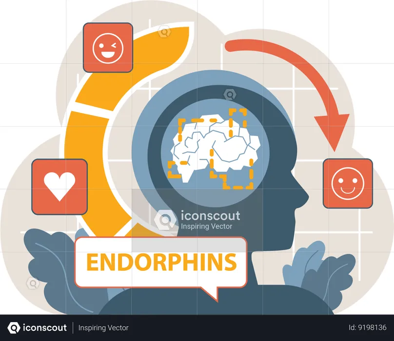 Endorphines  Illustration