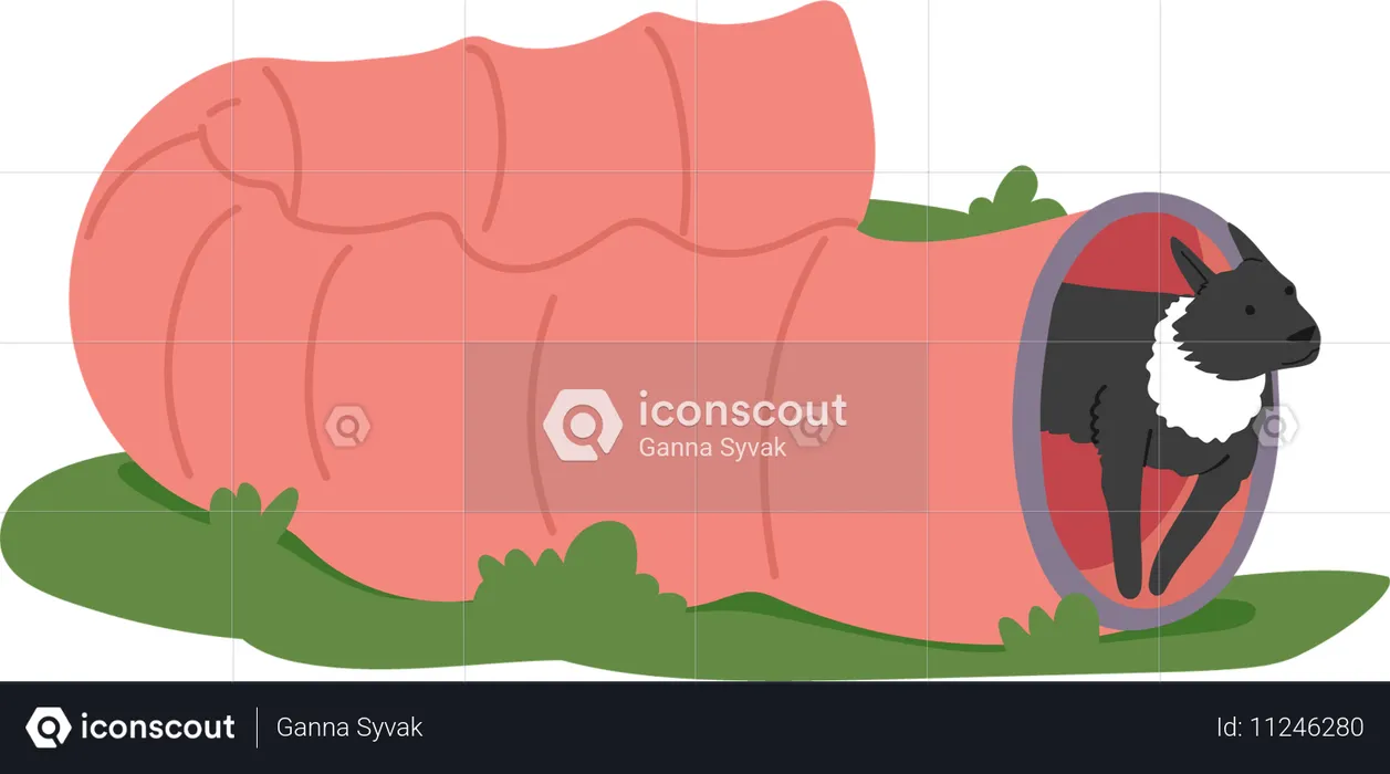 Entrenamiento de perros al aire libre utilizando obstáculos de túnel  Ilustración