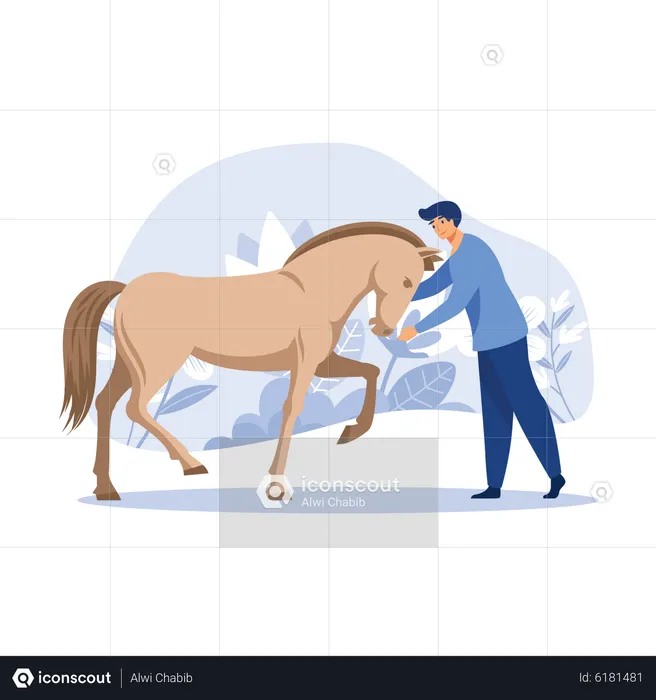 Equestrian person grooming horse  Illustration
