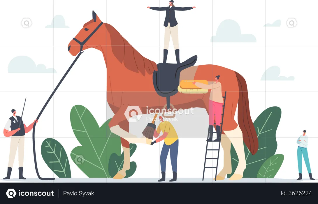 Equestrian Sport  Illustration