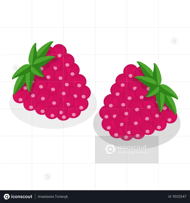 Ervas medicinais e frutas  Ilustração
