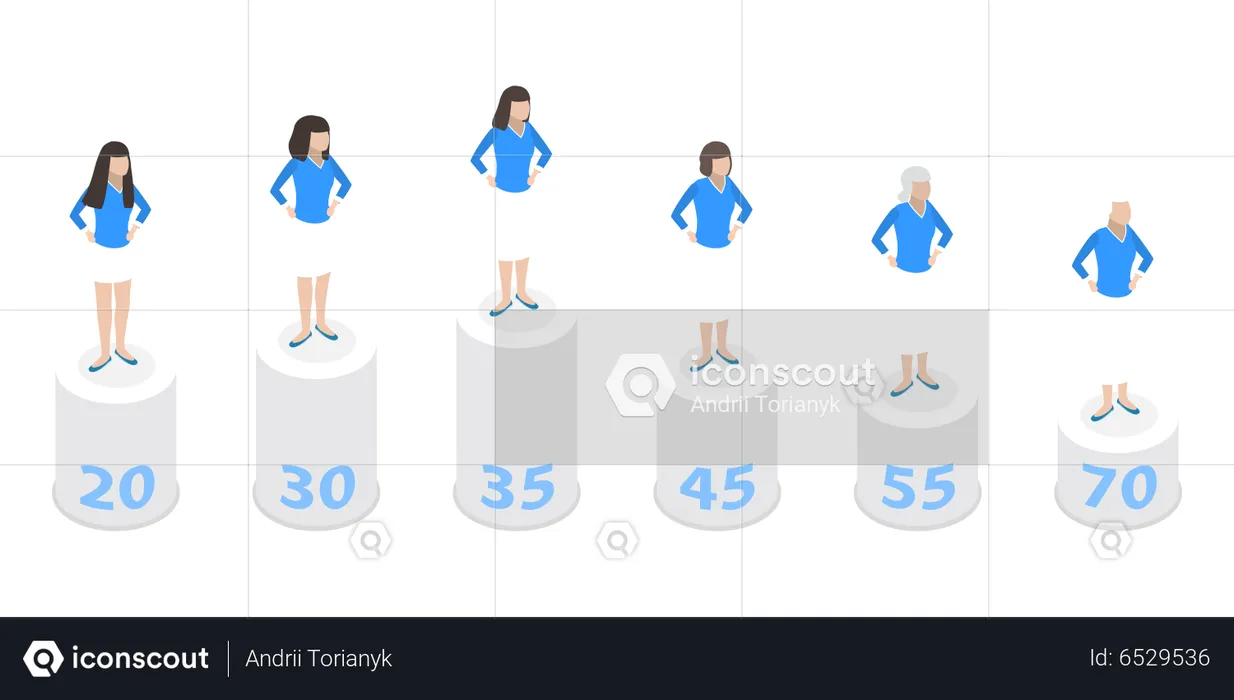 Estrogen Hormone Level  Illustration