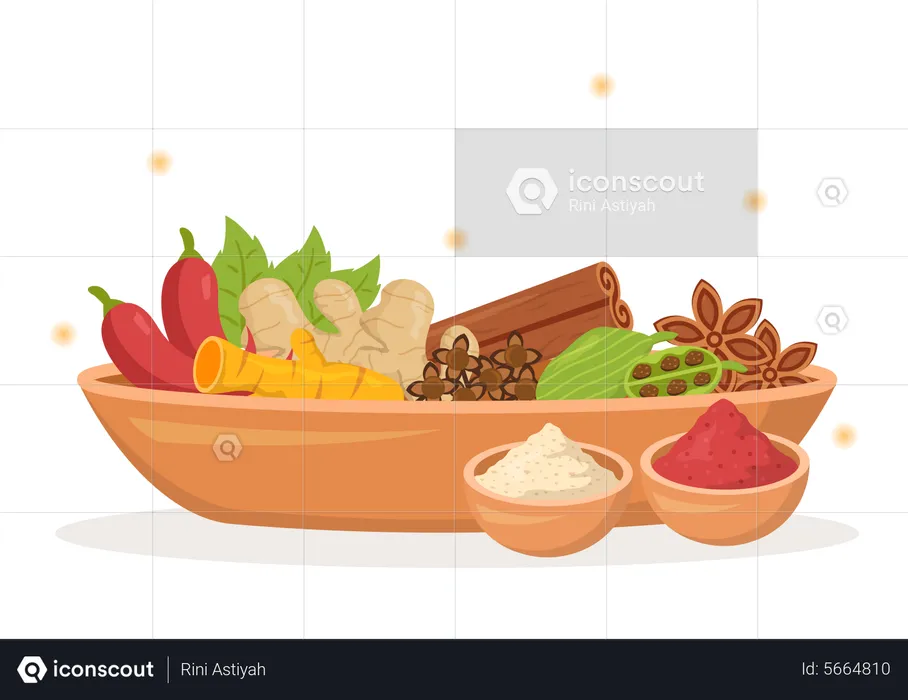 Exotic spices for seasoning  Illustration
