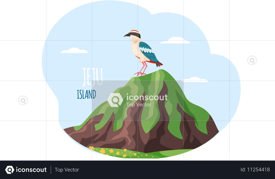 Exotischer Vogel sitzt auf einem Berg in der Nähe einer grünen Wiese mit Blumen und einer Inschrift der Insel Jeju im Himmel  Illustration