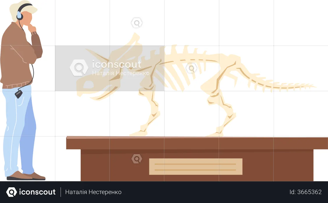 Exposição de paleontologia  Ilustração