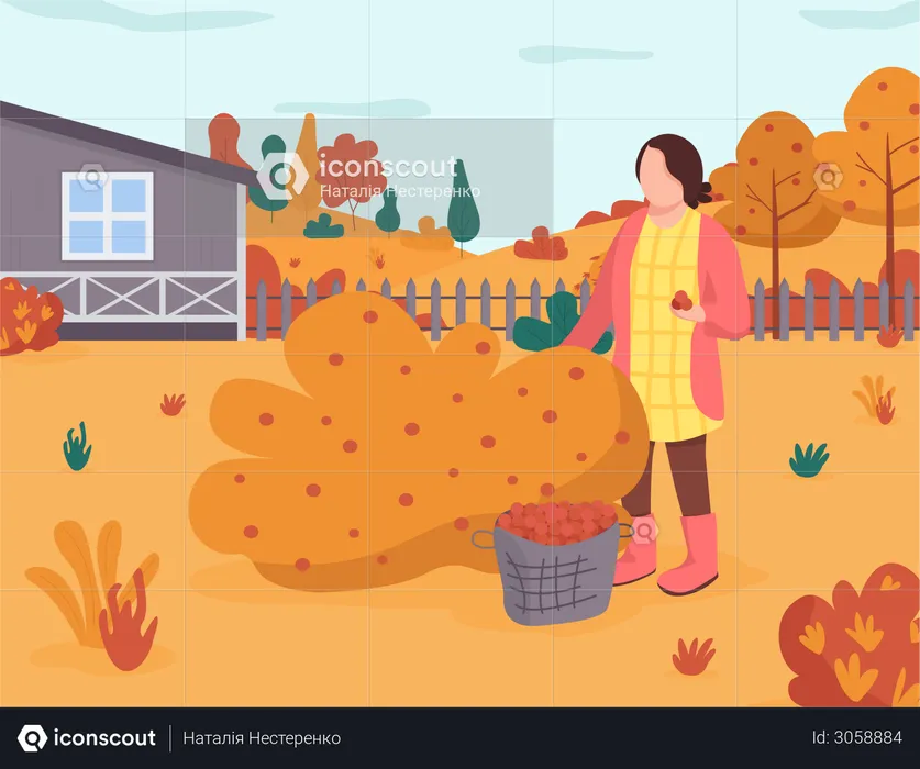 Fall Season  Illustration