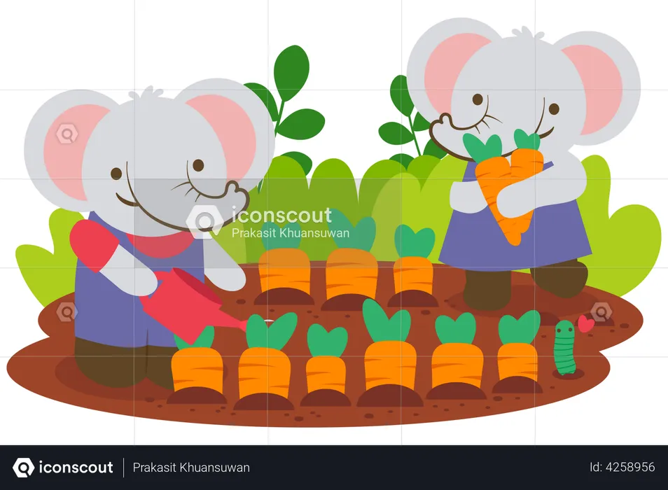 Familia de elefantes plantando zanahorias juntos  Ilustración