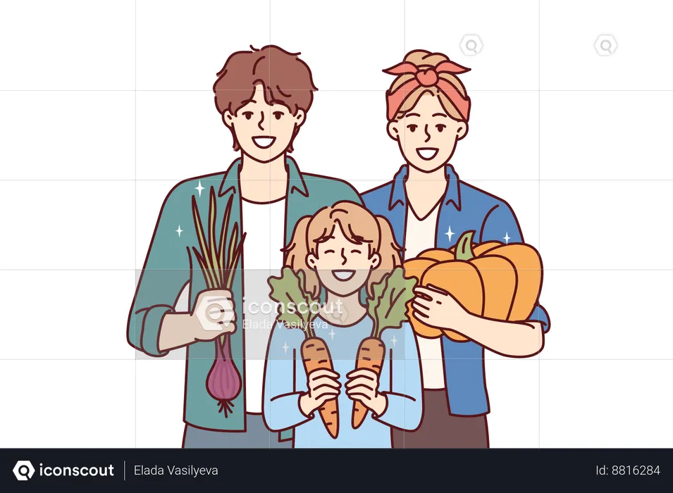 Family harvest vegetables together  Illustration