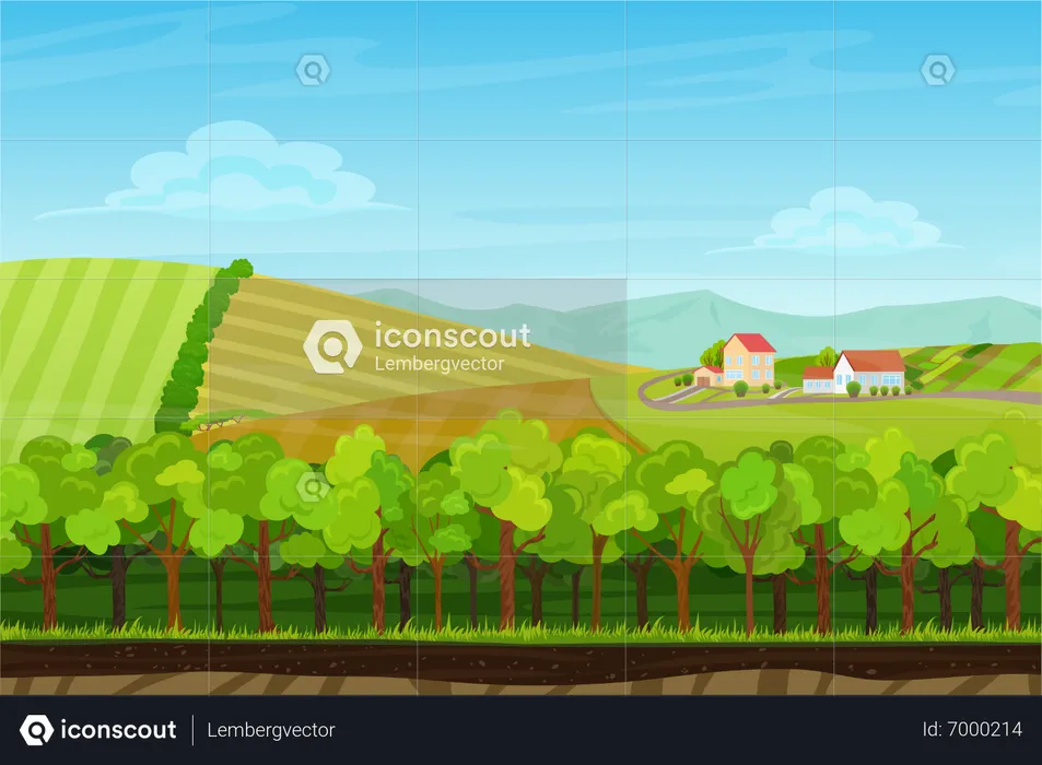 Farm lands  Illustration