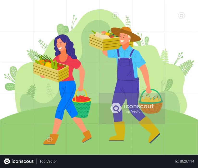 Farmer couple harvesting fresh vegetables  Illustration