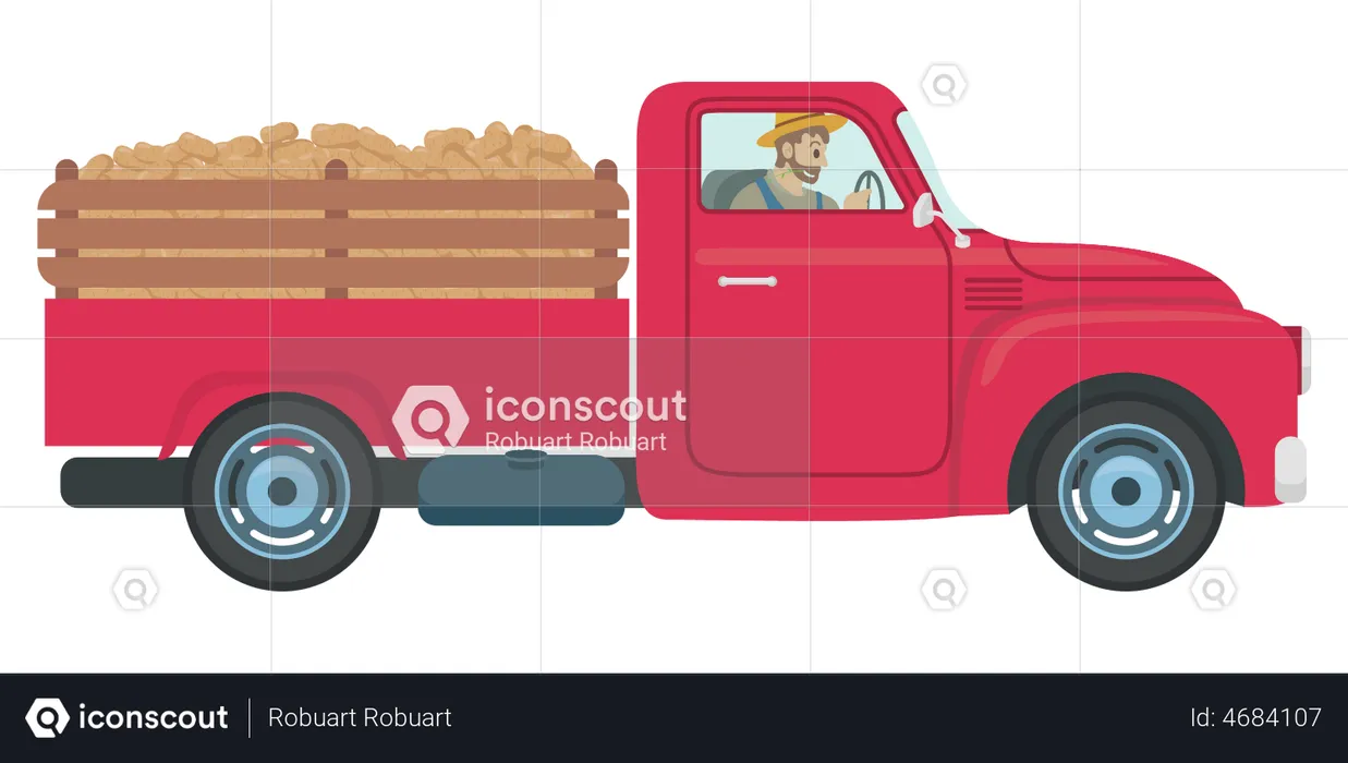 Farmer delivery goods using pickup truck  Illustration
