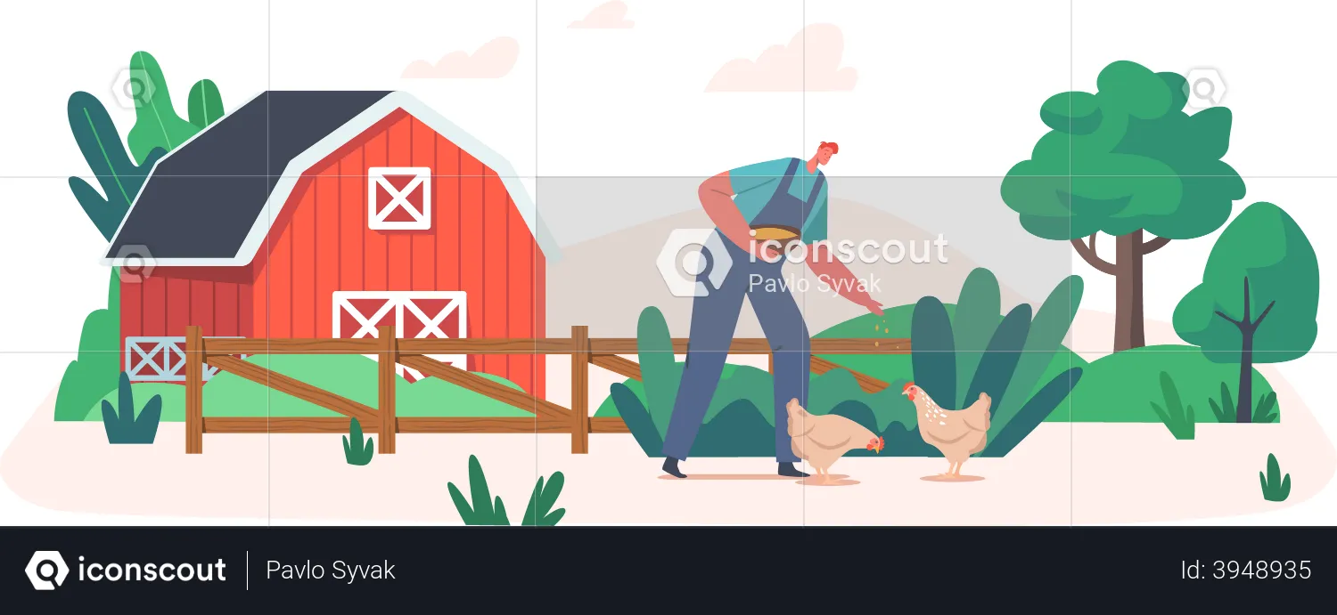 Farmer feeding chicken  Illustration