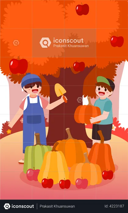 Farmer harvesting pumpkins and apples  Illustration