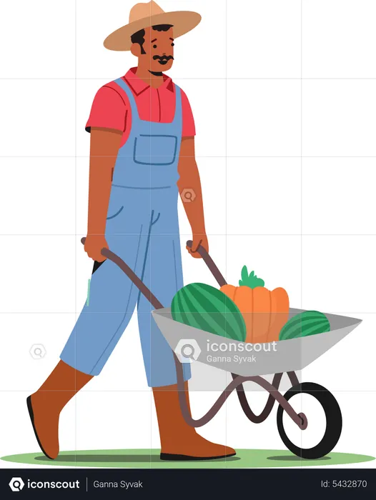 Farmer Harvesting Ripe Fruits  Illustration