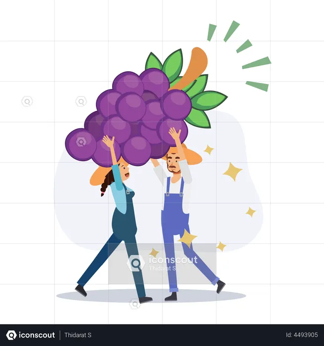 Farmer holding grapes  Illustration