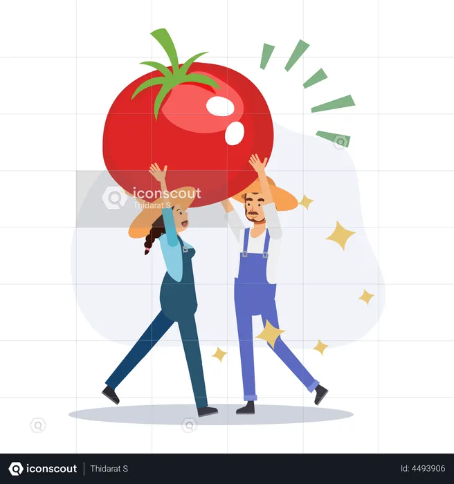 Farmer holding tomato  Illustration