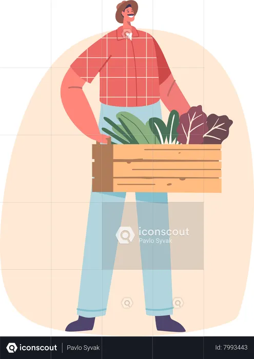 Farmer Male Character Proudly Holds A Wooden Box Filled With Fresh  Illustration