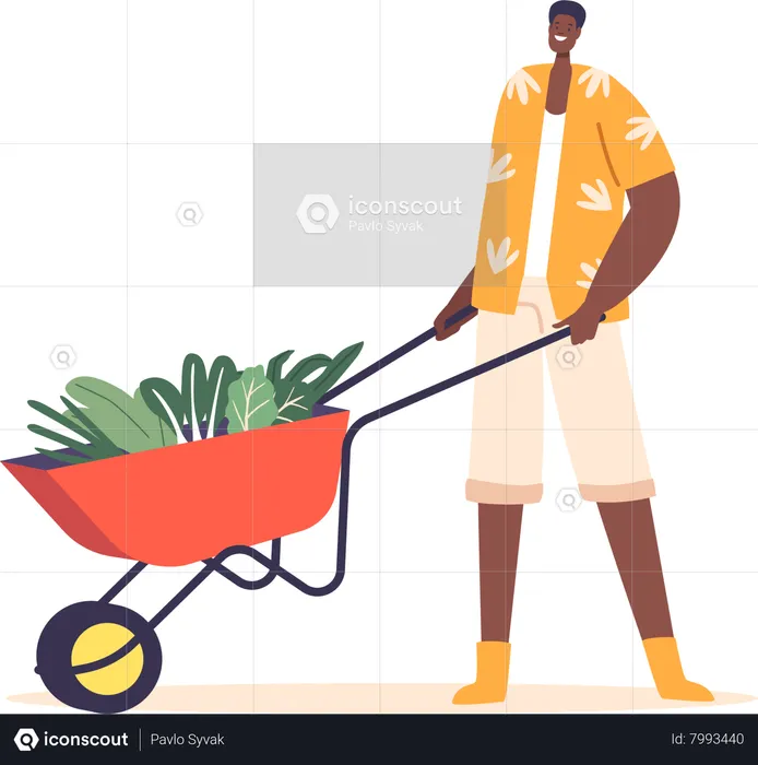 Farmer Male Character Pushes A Trolley Filled With Fresh Green Vegetables  Illustration