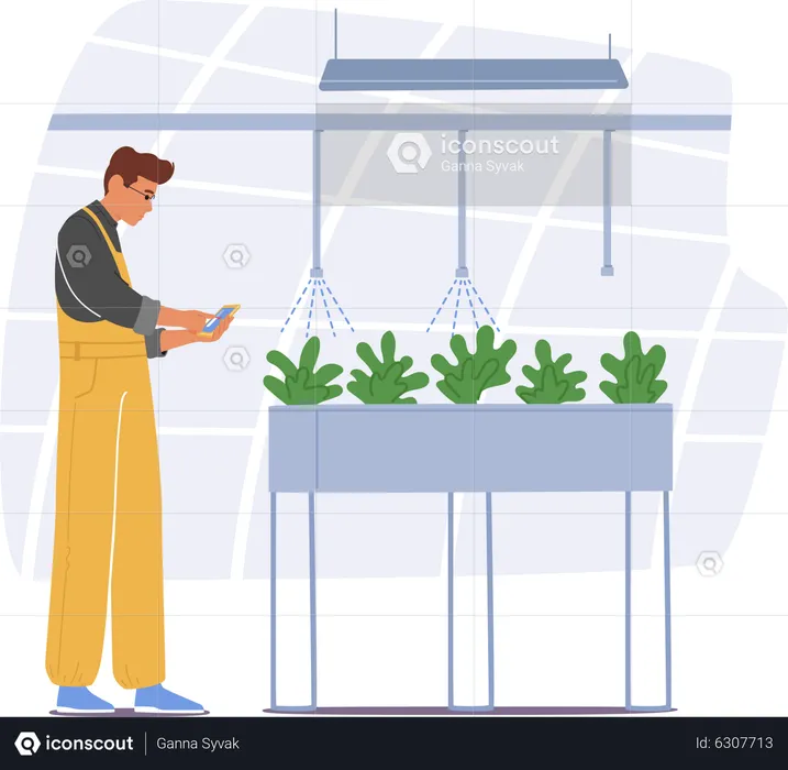 Farmer Managing His Greenhouse With Mobile App  Illustration