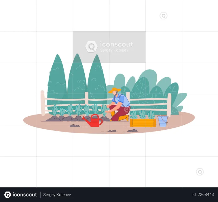 Farmer planting fruit trees  Illustration