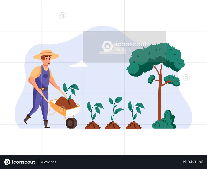 Farmer planting Seed with wheelbarrow  Illustration