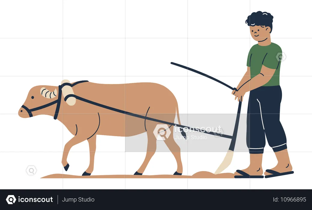 Farmer Plowing with Ox  Illustration