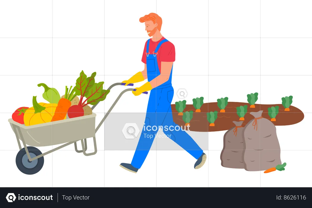Farmer pushing cart loaded with vegetables  Illustration