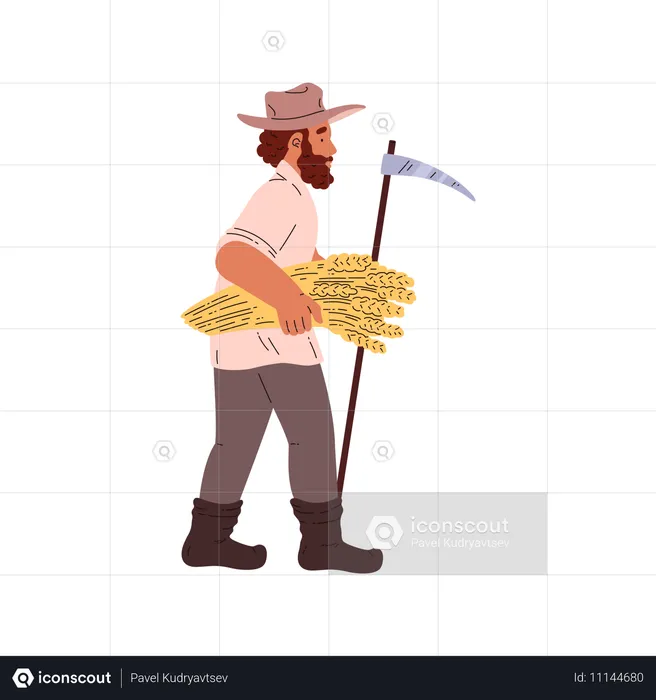 Farmer walking with sheaf of wheat  Illustration