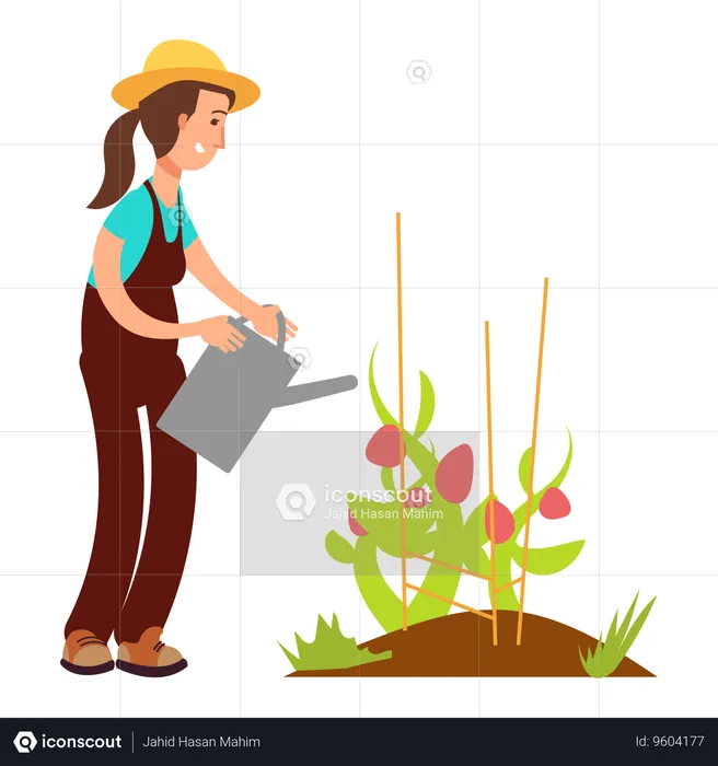 Farmer watering plant  Illustration