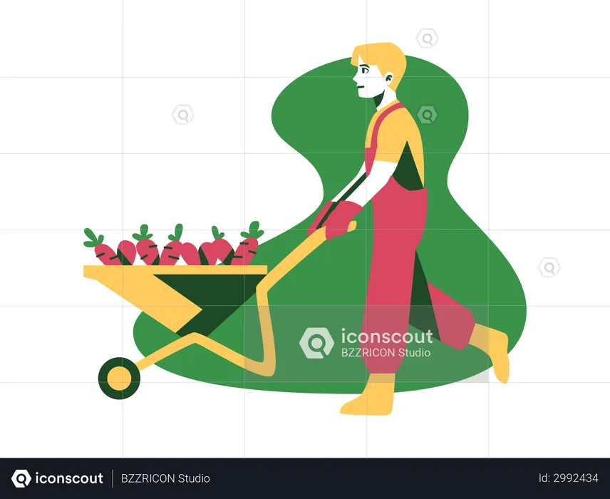 Farmer with carrot trolley  Illustration
