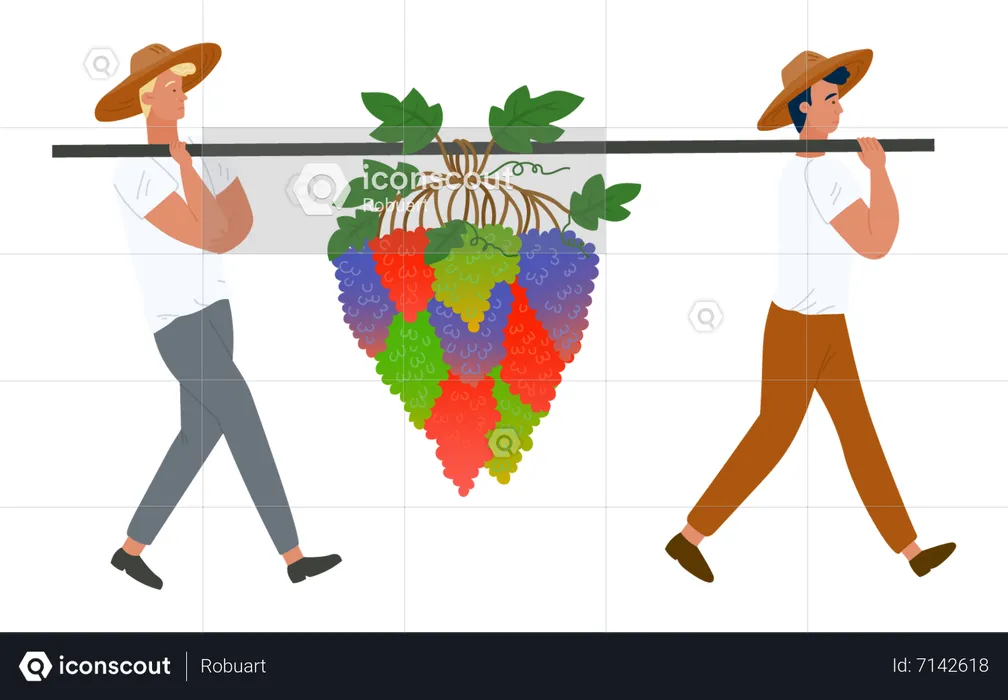 Farmers carrying grapes bunches berries  Illustration