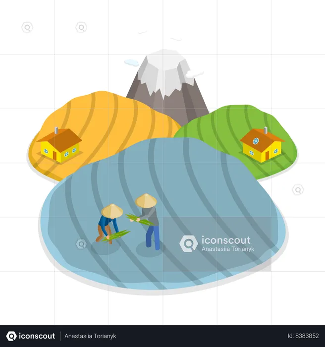 Farmers growing crops in their farms  Illustration