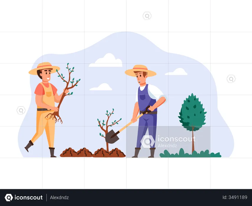 Farmers planting new plant  Illustration