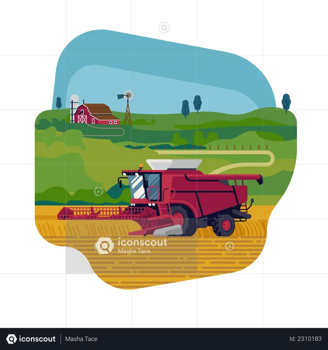 Farming and agriculture with combine harvester harvesting grain crops  Illustration