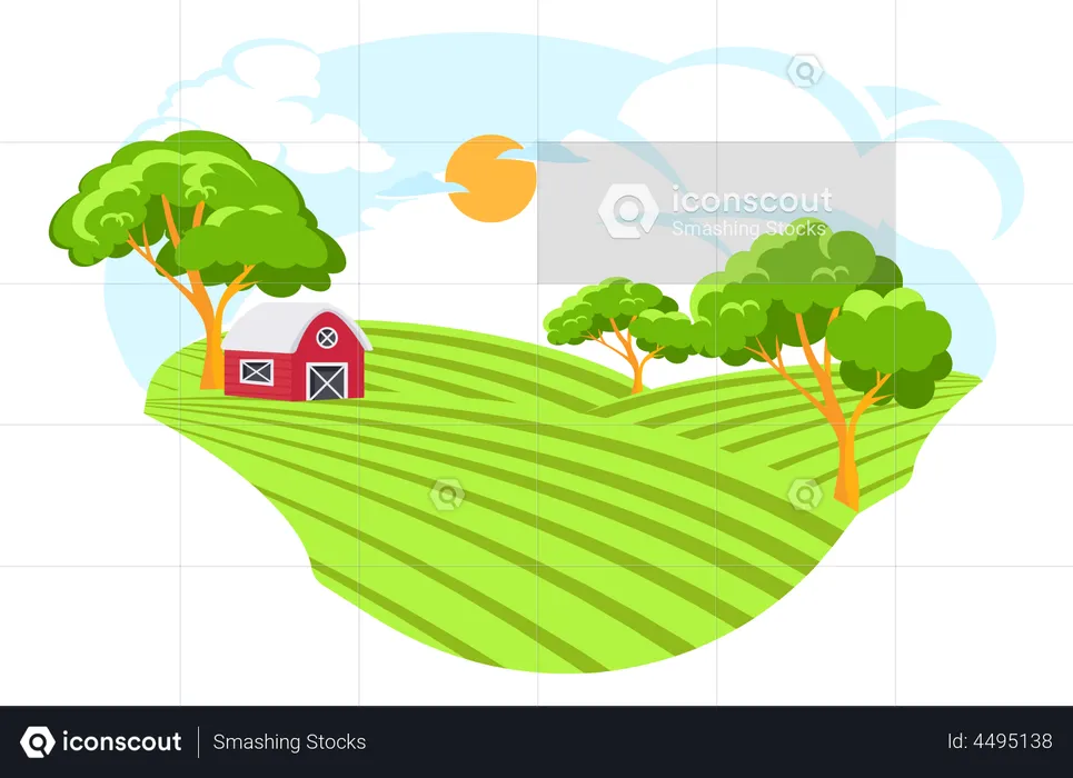 Farmland  Illustration