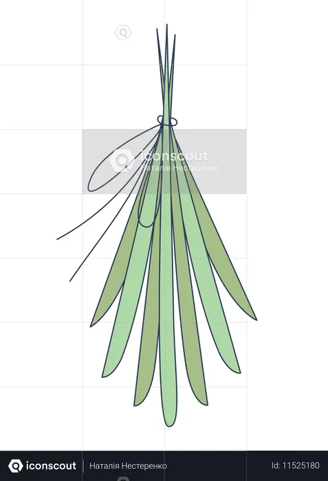 Feixe amarrado de folhas longas e finas  Ilustração