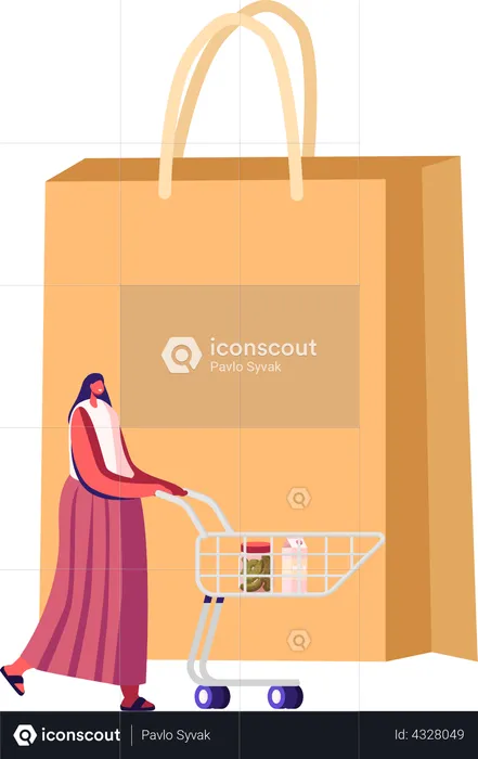 Female Customer With Trolley in Grocery or Supermarket  Illustration