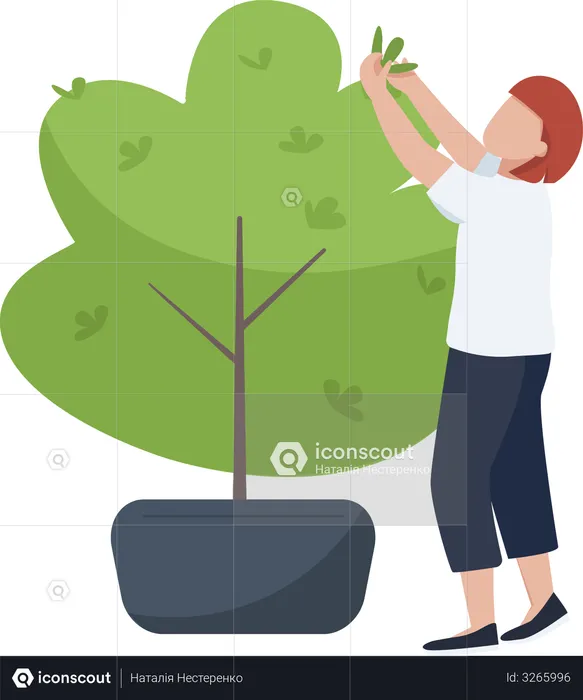 Female cutting plant  Illustration