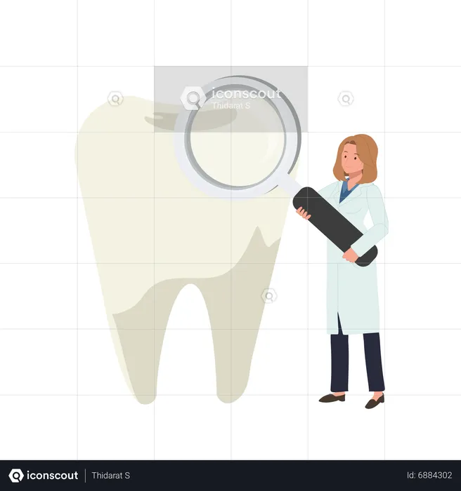 Female dentist examine teeth  Illustration