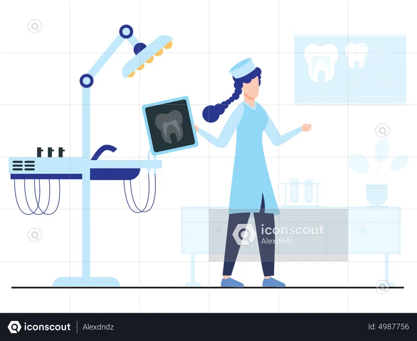 Female dentist examine X-Ray report  Illustration