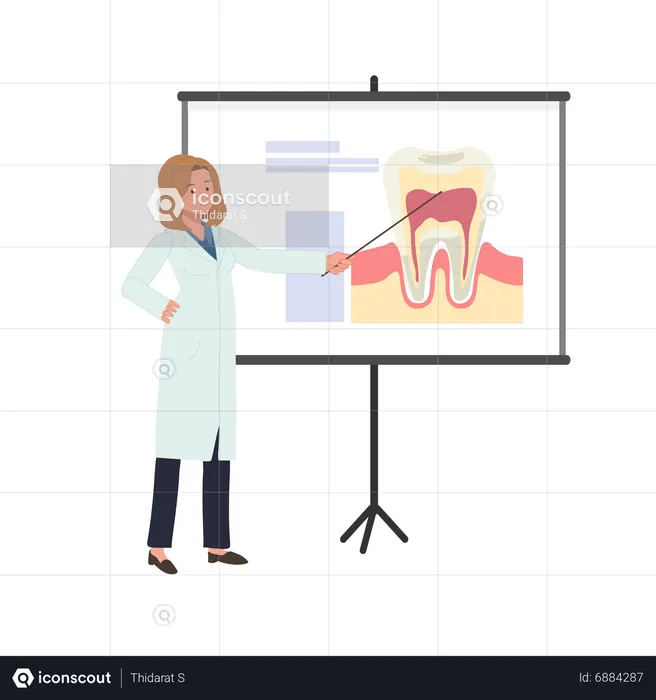 Female Dentist explains about tooth on whiteboard  Illustration