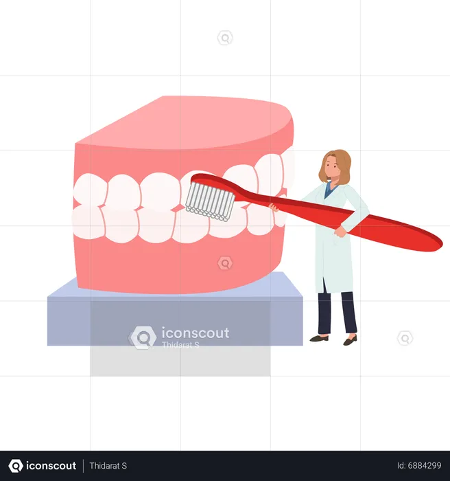 Female Dentist with big toothbrush presenting  how to clean teeth  Illustration