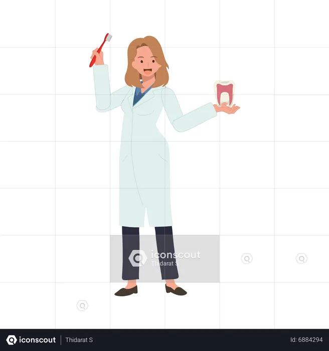 Female Dentist with tooth brush showing how to clean teeth  Illustration